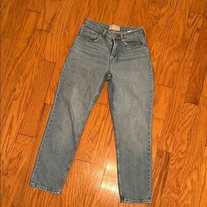 Everlane Women's Straight Leg Jeans in Light Blue